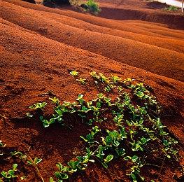 育碧：《刺客信条》游戏内弹出广告是技术失误