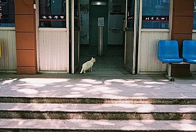 “ATLUS Exclusive《暗喻幻想：ReFantazio》”特别节目4月23日直播！