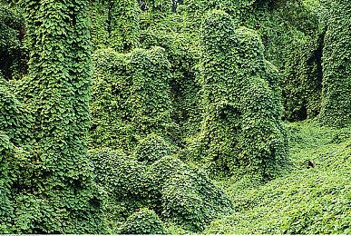 育碧发布2022财年Q1财报 收入下降了17%