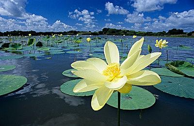 华纳免费大乱斗《Multiversus》全新预告 7月开启公测